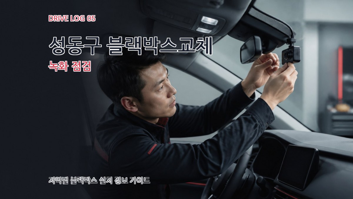 성동구 블랙박스교체 녹화 점검