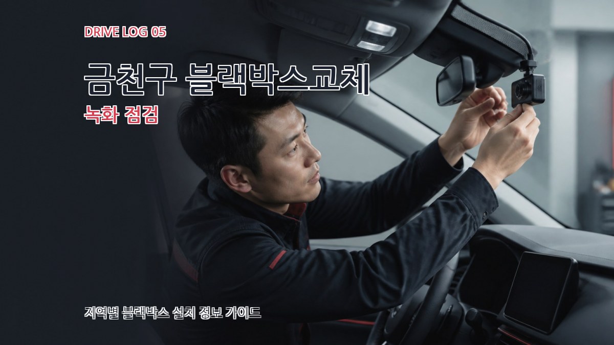 금천구 블랙박스교체 녹화 점검