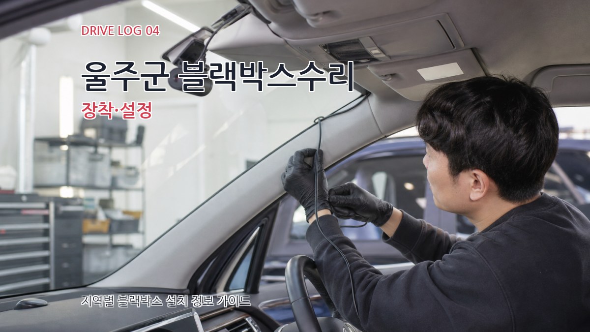 울주군 블랙박스수리 장착·설정