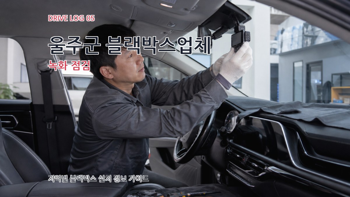 울주군 블랙박스업체 녹화 점검