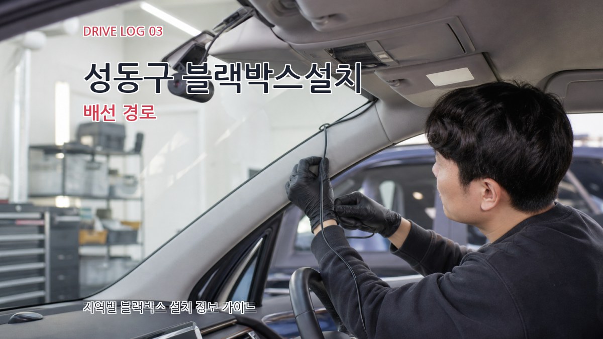 성동구 블랙박스설치 배선 경로