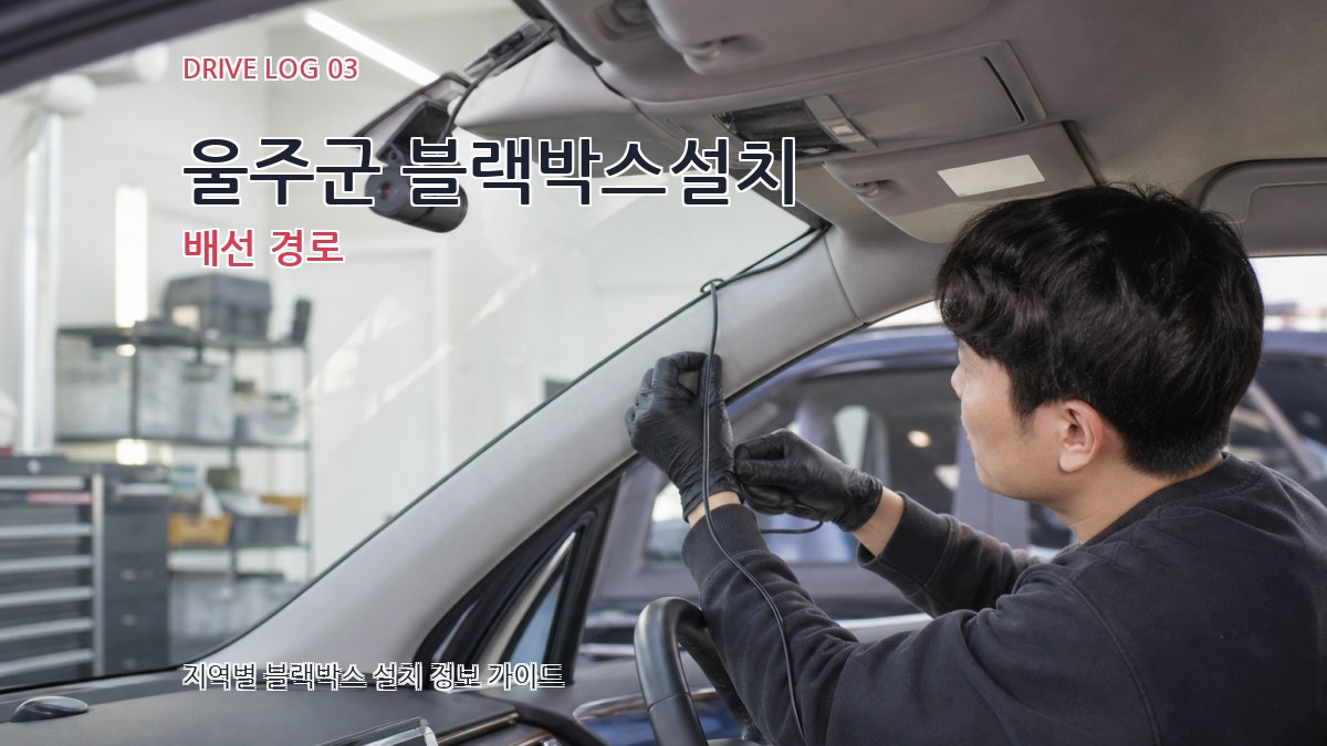 울주군 블랙박스설치 배선 경로