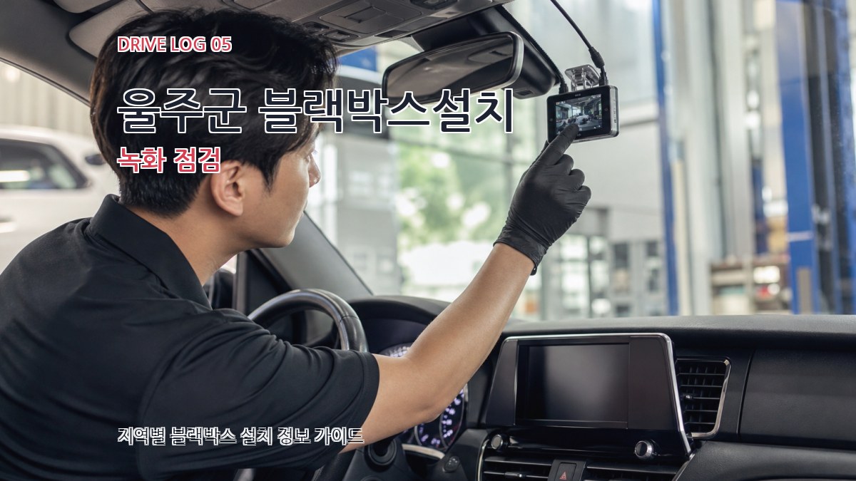 울주군 블랙박스설치 녹화 점검