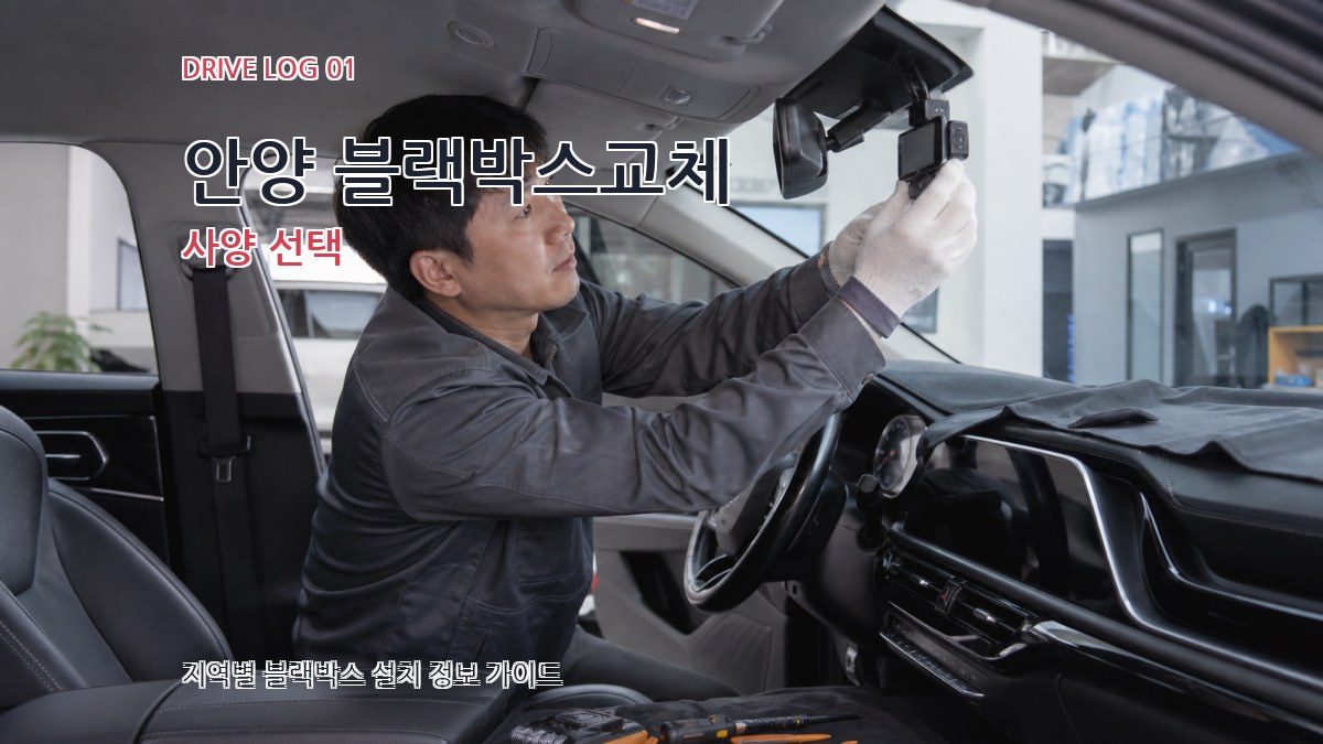 안양 블랙박스교체