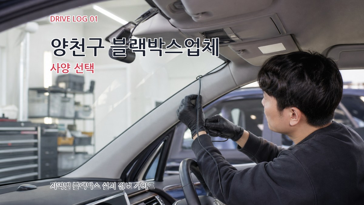 양천구 블랙박스업체 사양 선택