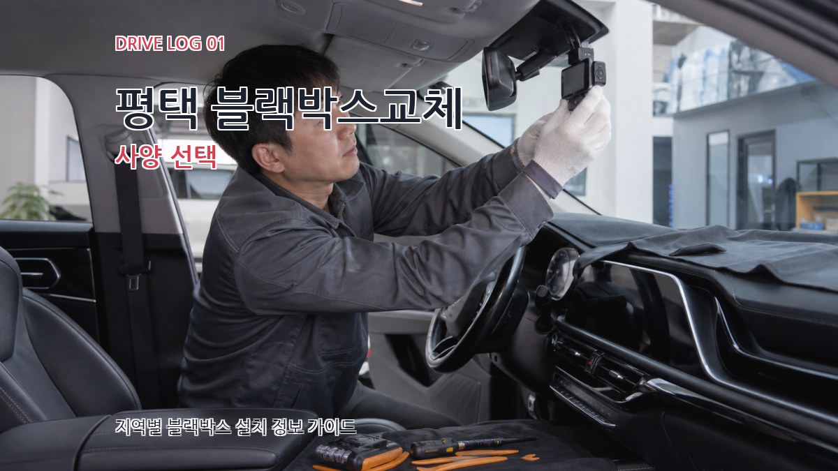 평택 블랙박스교체 사양 선택