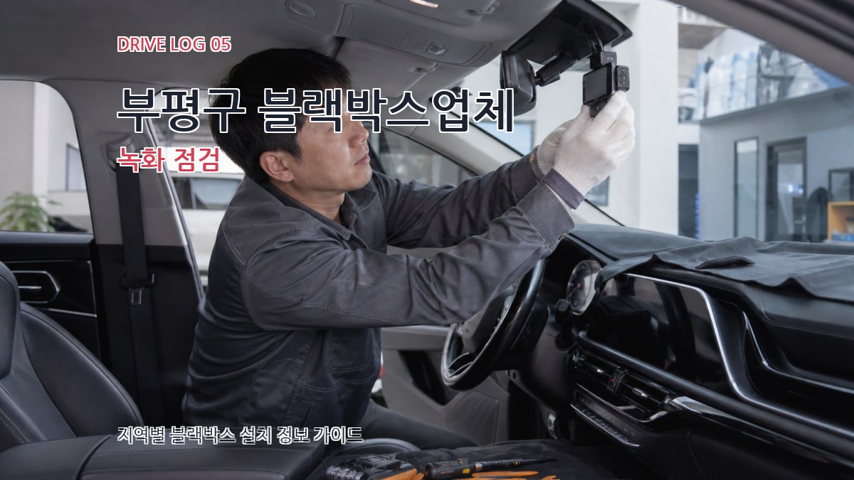 부평구 블랙박스업체 녹화 점검
