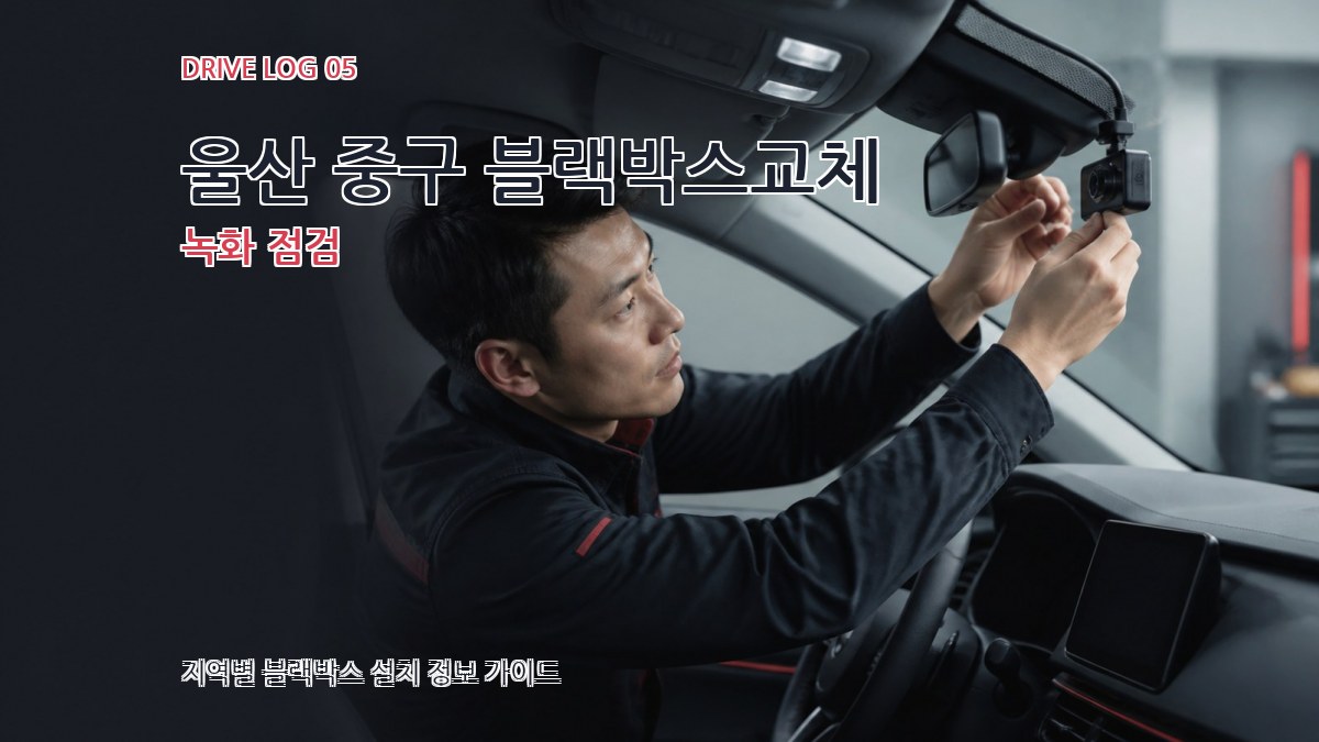 울산 중구 블랙박스교체 녹화 점검