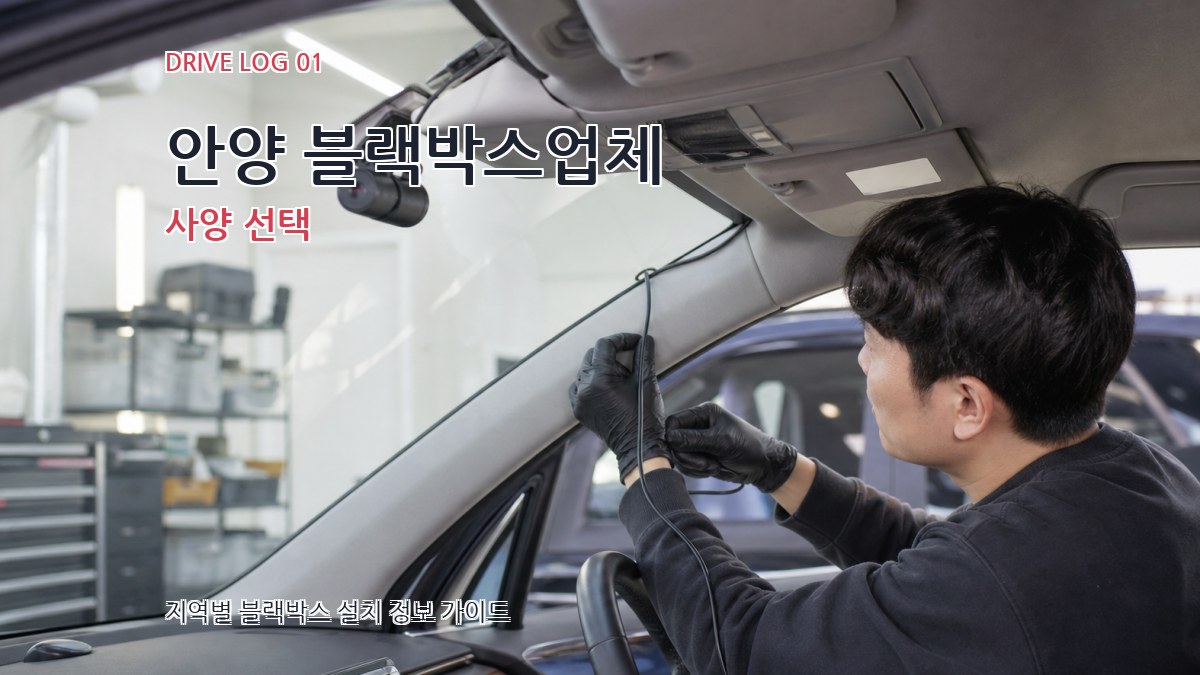 안양 블랙박스업체