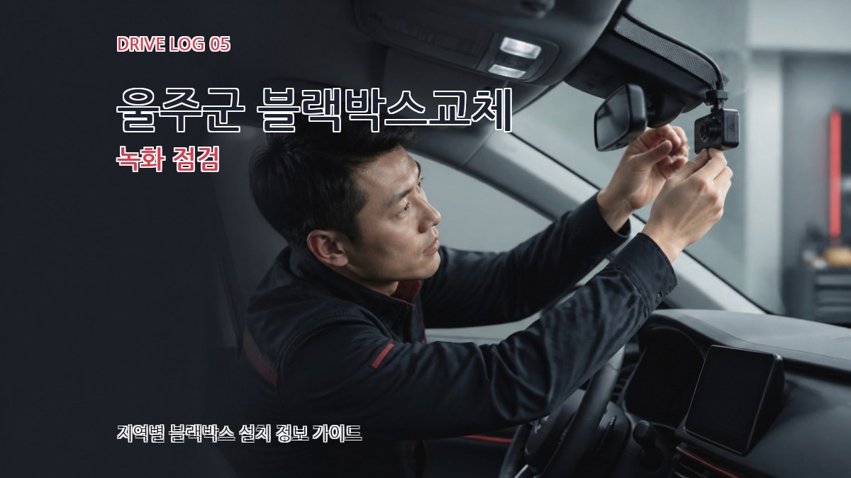 울주군 블랙박스교체 녹화 점검