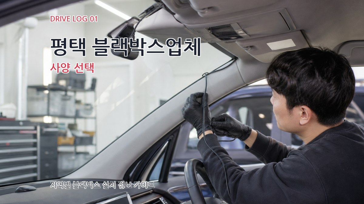 평택 블랙박스업체